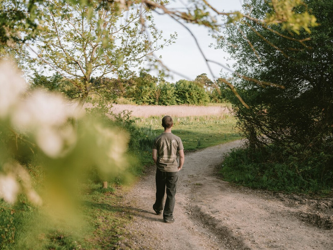 person walking in nature